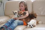 ENFANT ET CHIEN 533